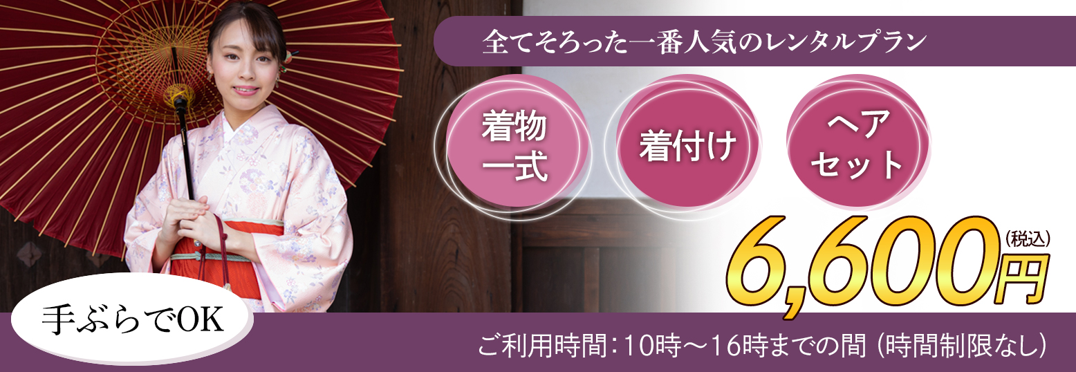 全て揃った一番人気のレンタルプラン